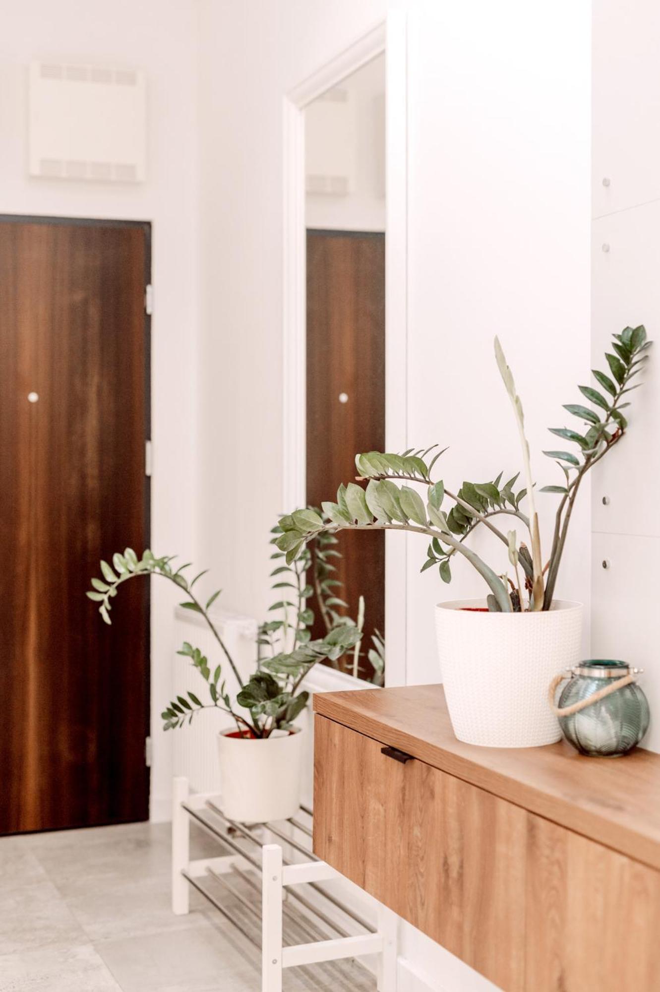Partnerapart Rakowicka 14 Apartament Kraków Zewnętrze zdjęcie
