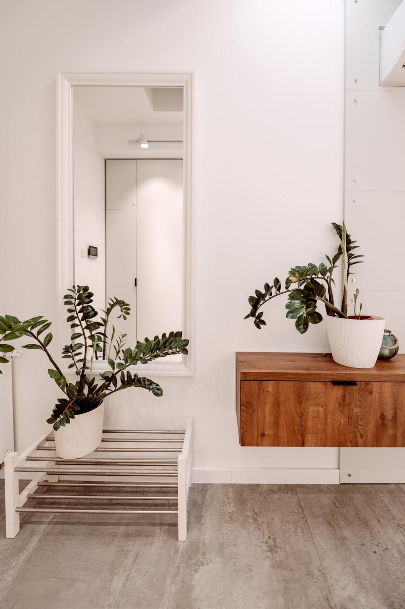 Partnerapart Rakowicka 14 Apartament Kraków Zewnętrze zdjęcie